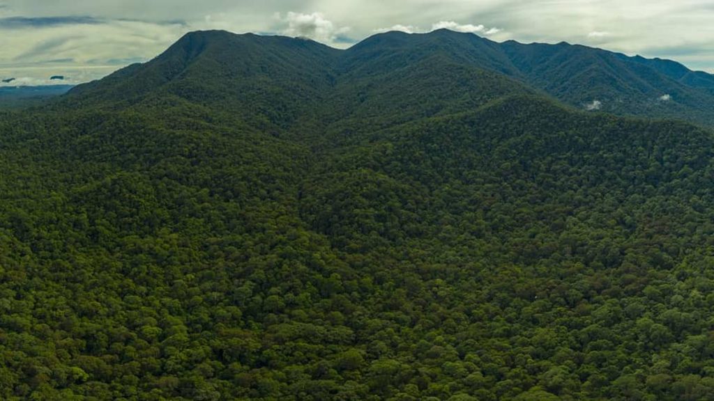 Daya Tarik Taman Nasional Wakatobi yang Menarik Dikunjungi