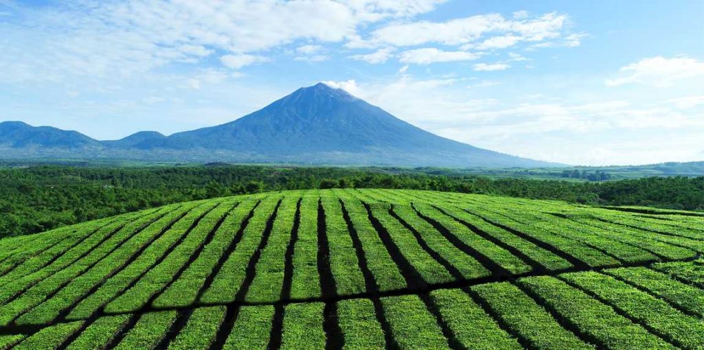 Isi Libur Panjang dengan Berwisata Keindahan Taman Nasional