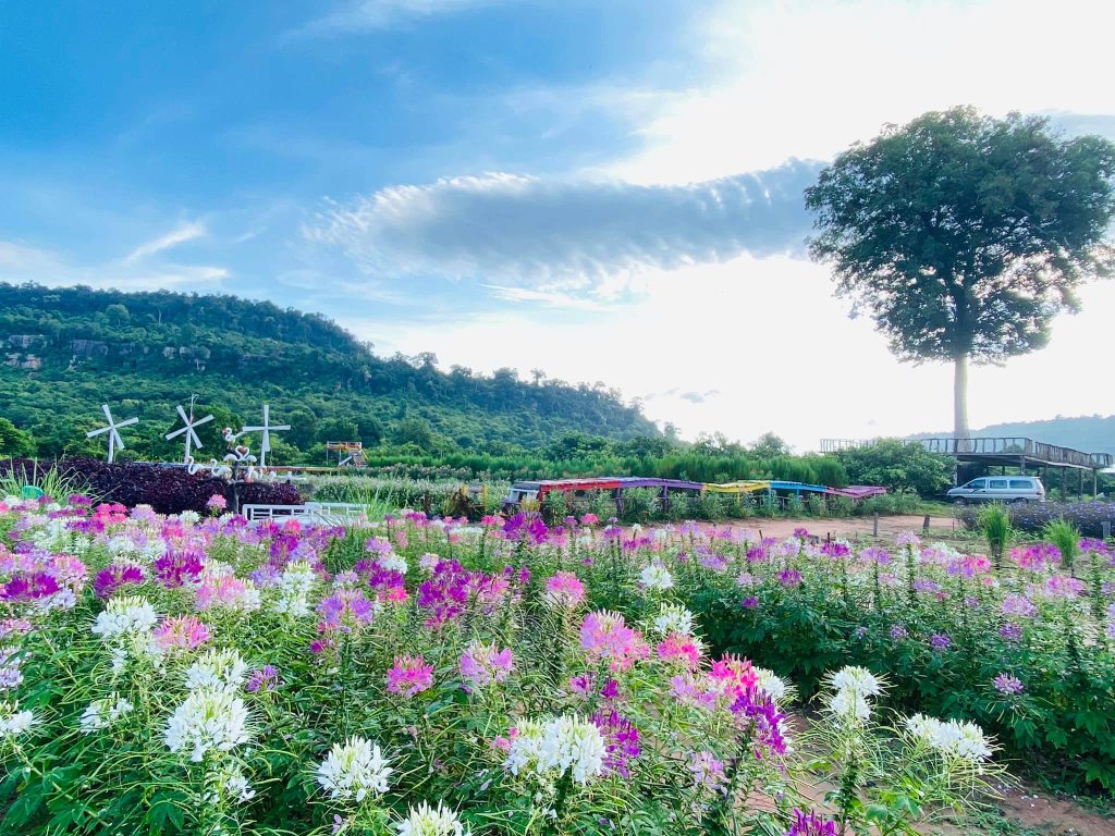 Keindahan Agrowisata Narmada Botanic Garden Di Lombok