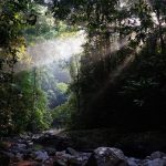 Persiapan Penting Berwisata Taman Nasional Indonesia Terindah