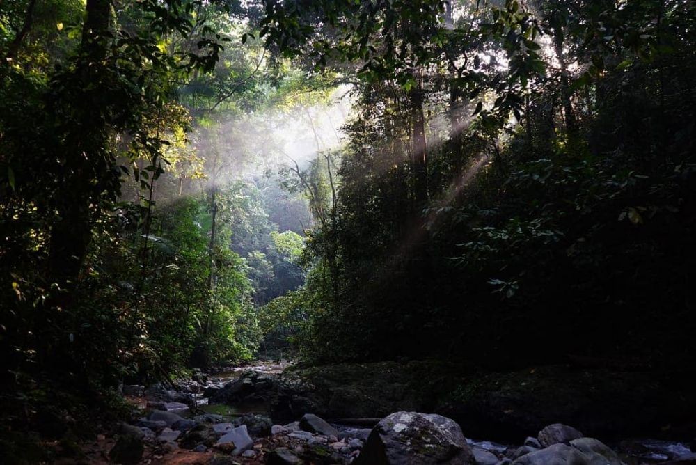 Persiapan Penting Berwisata Taman Nasional Indonesia Terindah