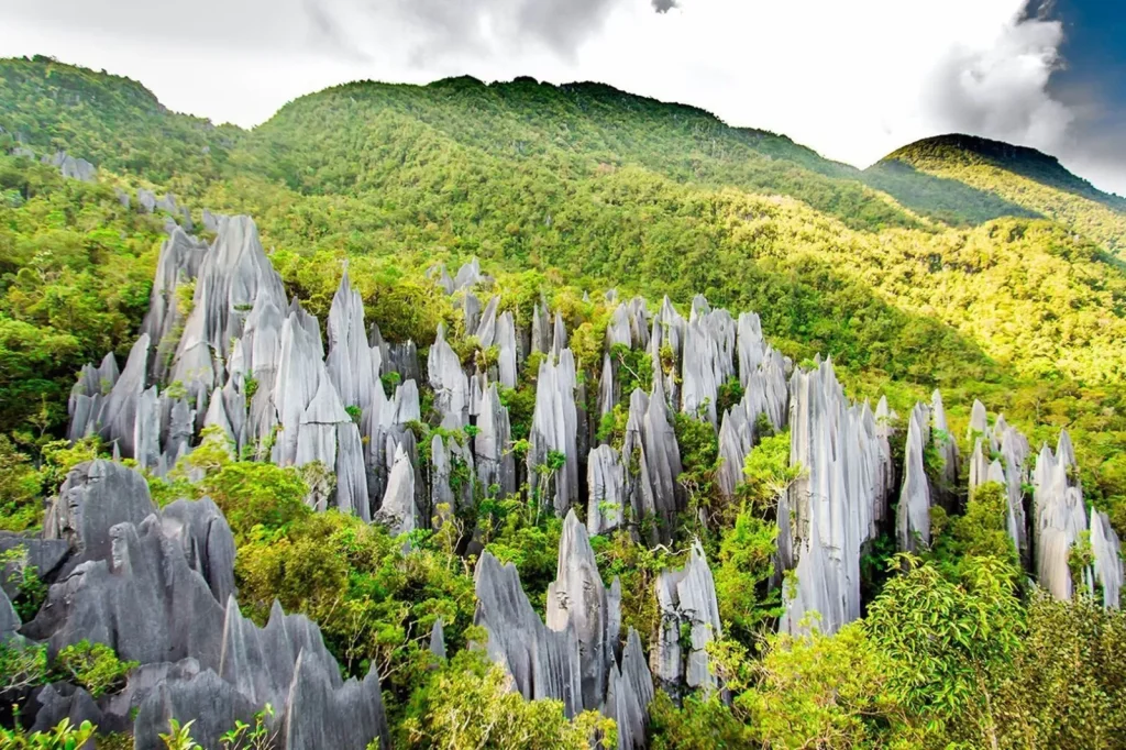 Menilik Potensi Wisata yang Ada di Taman Nasional Karimunjawa