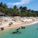 Mengenal Keindahan Indonesia Pantai Dengan Segala Manfaatnya