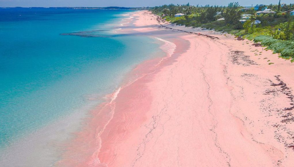 Eksplorasi Keindahan Pantai di Nusa Tenggara Barat