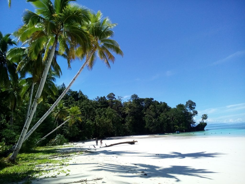 Keindahan Pantai di Papua dengan Panorama yang Memukau