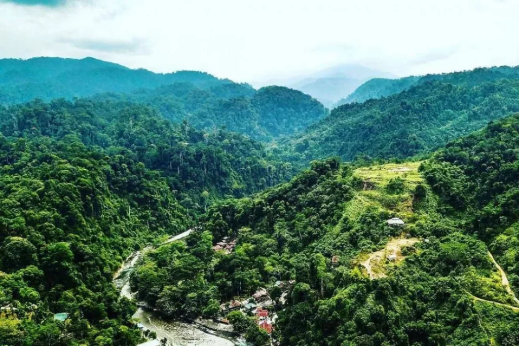 Lokasi Wisata yang Menarik di Taman Nasional Gunung Leuser