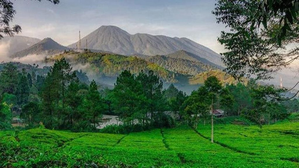 Menikmati Keindahan Agrowisata Gunung Mas