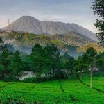 Menikmati Keindahan Agrowisata Gunung Mas