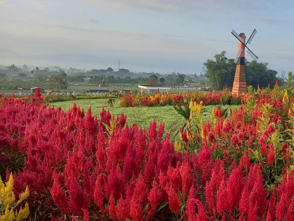 Kunjungi Desa Wisata Raya – Pesona Budaya Autentik