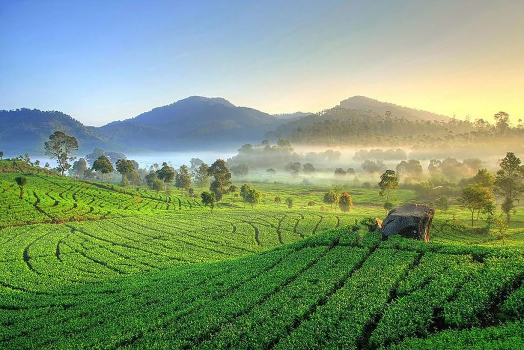 Desa Wisata Alamendah Bandung, Berlibur Paling Banyak Diminati