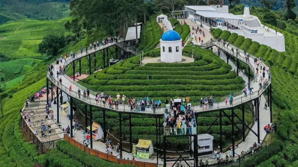 Berwisata Agro Ke Berbagai Destinasi di Bandung