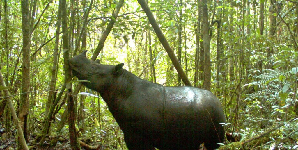 Berkunjung Ke Taman Nasional Indonesia Agar Aman!