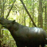 Berkunjung Ke Taman Nasional Indonesia Agar Aman!