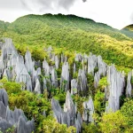 Beragam Daya Tarik Keindahan Taman Nasional Bunaken