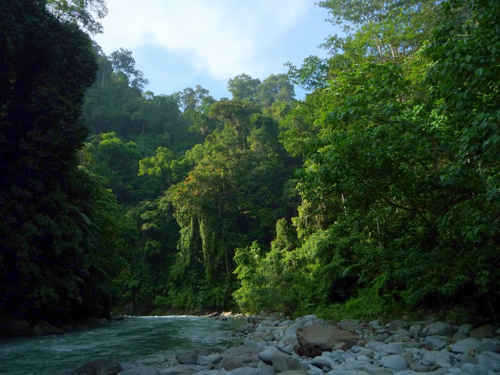 Deretan Taman Nasional Indonesia Dengan Segala Keunikannya