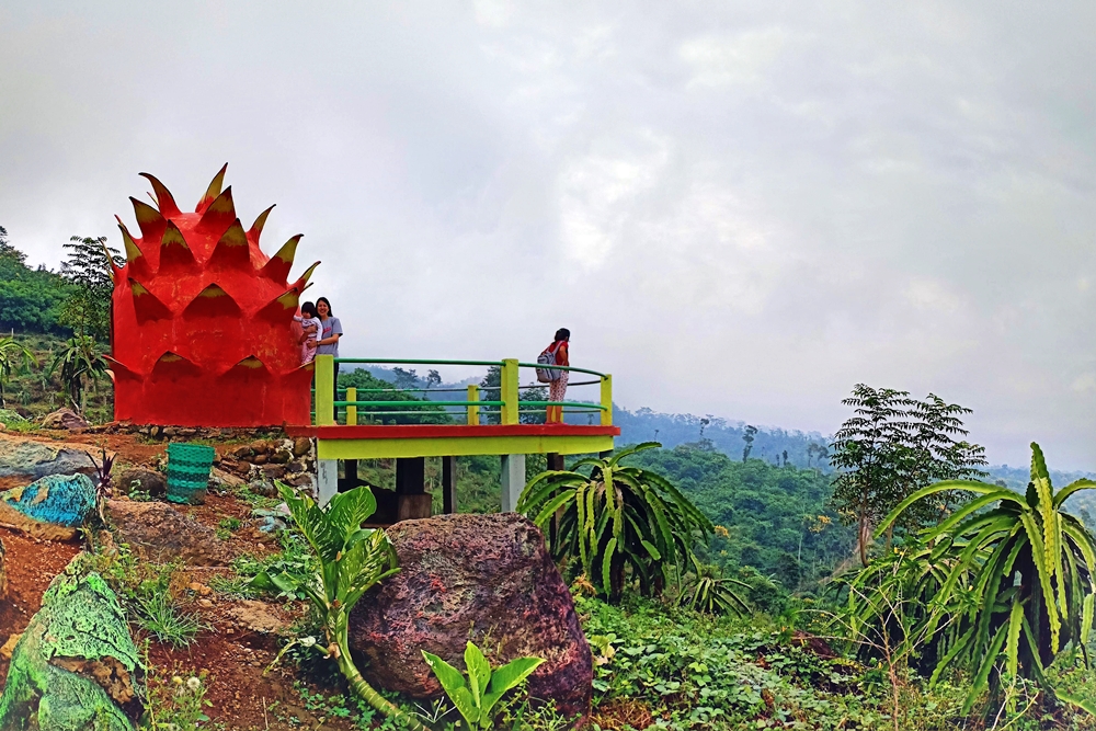 Jelajahi Keindahan Alam Agrowisata Kebun Naga