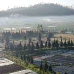 Keindahan Desa Wisata Dieng Kulon (Negeri Atas Awan)