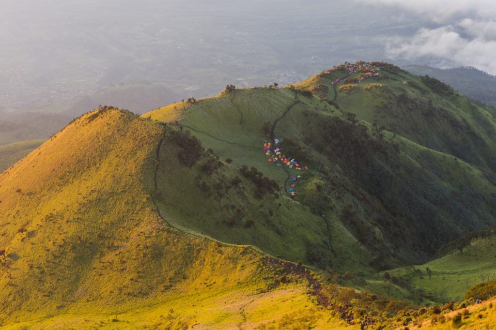 Taman Nasional Indonesia Dengan Cagar Alam Dan Margasatwa!