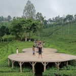 Kunjungi Agrowisata Kebun Teh Sidamanik Seru!