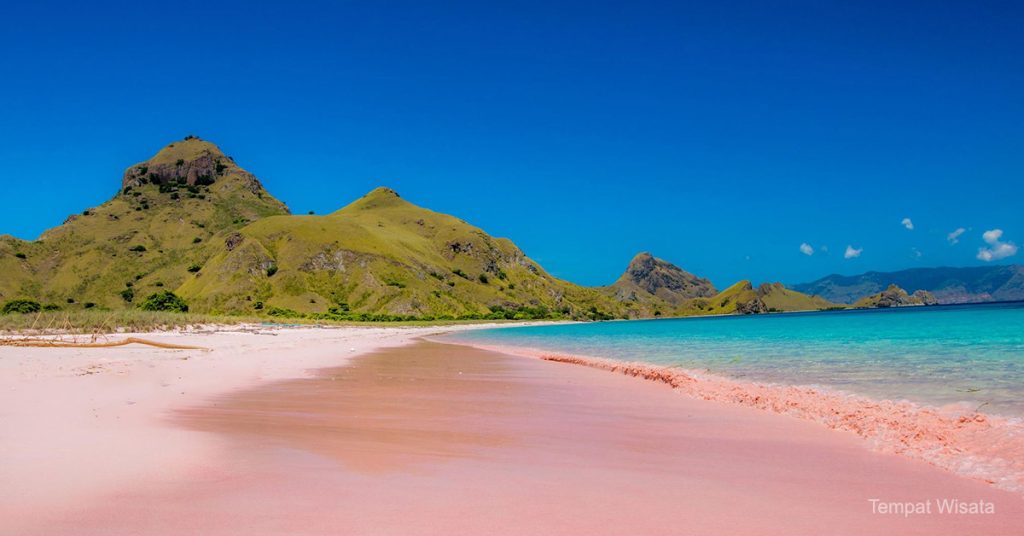 Deretan Pantai Indah di Indonesia dengan Ombak Terbesar