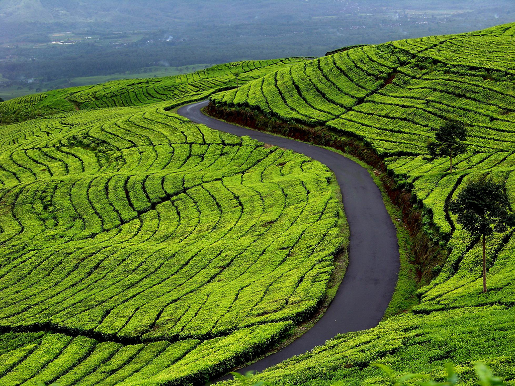 Agrowisata Terlengkap Di Bagus Agro Pelaga Bali