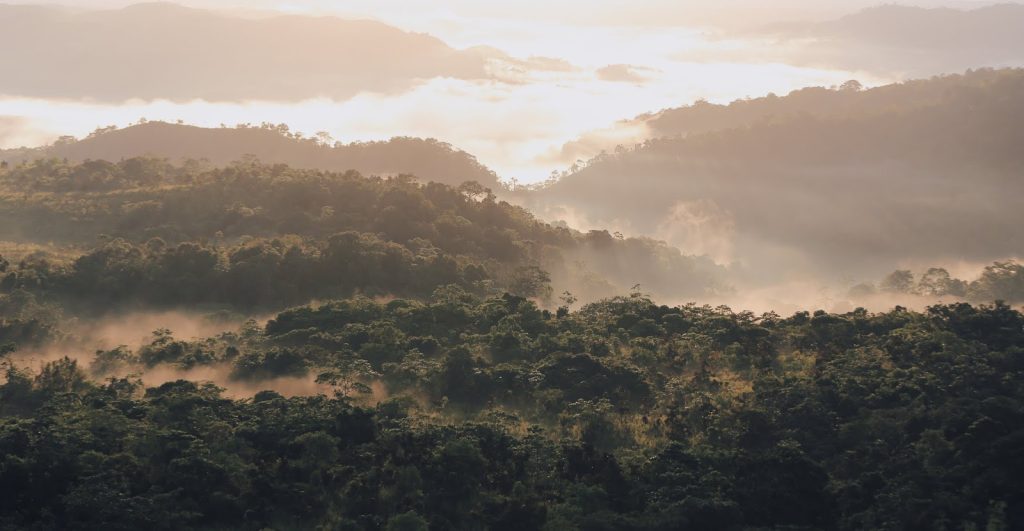 Panduan Wisata Taman Nasional Manupeu Tanah Daru