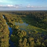 Taman Nasional Indonesia yang Layak Dikunjungi Saat Liburan