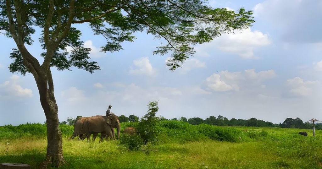 Taman Nasional di Indonesia yang Memberikan Pengalaman Seru