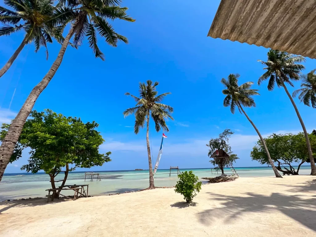 Fakta Menarik, Keindahan Pantai Karimun Jawa Yang Begitu Indah