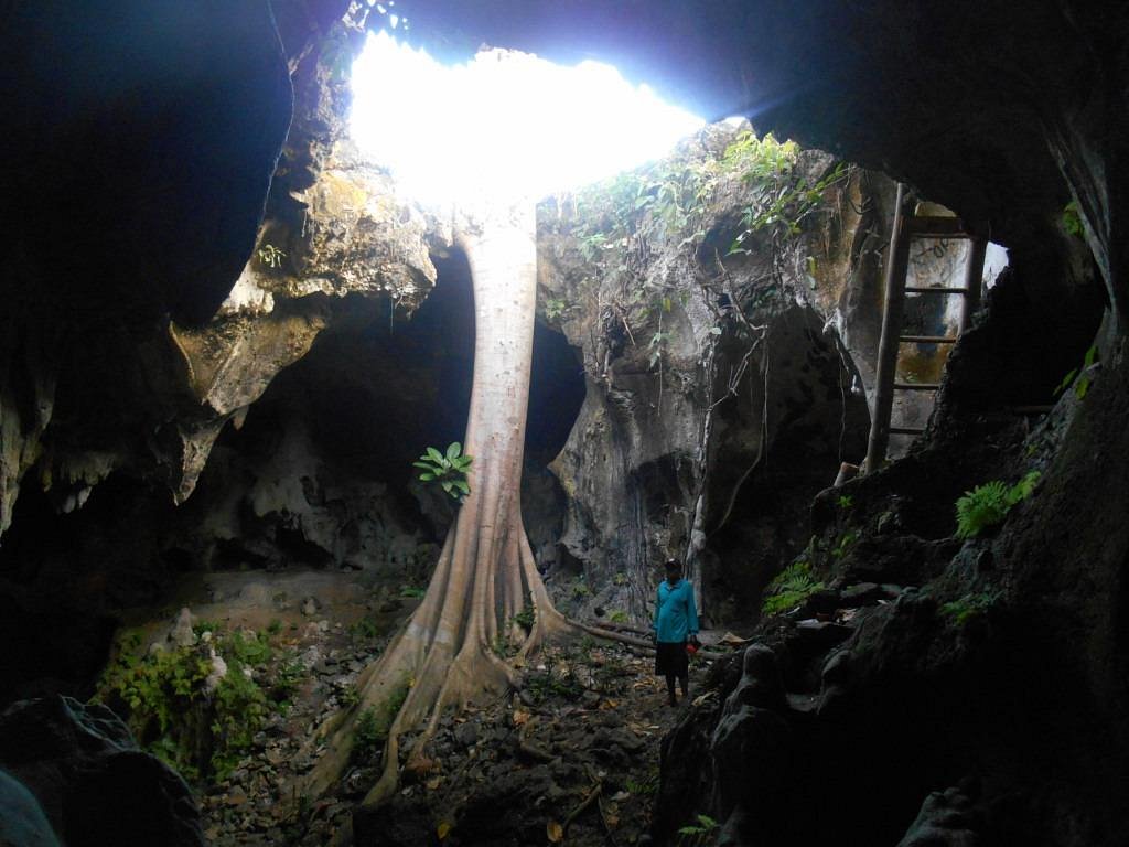 Menjelajahi Keindahan Goa Luweng Jaran dan Goa Gajah