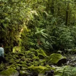 Taman Nasional Terbaik di Pulau Sumatera Beserta Keunikannya