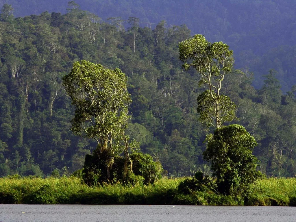 Keindahan Beberapa Taman Nasional di Sulawesi Spektakuler