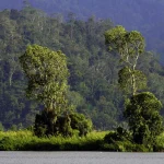 Keindahan Beberapa Taman Nasional di Sulawesi Spektakuler