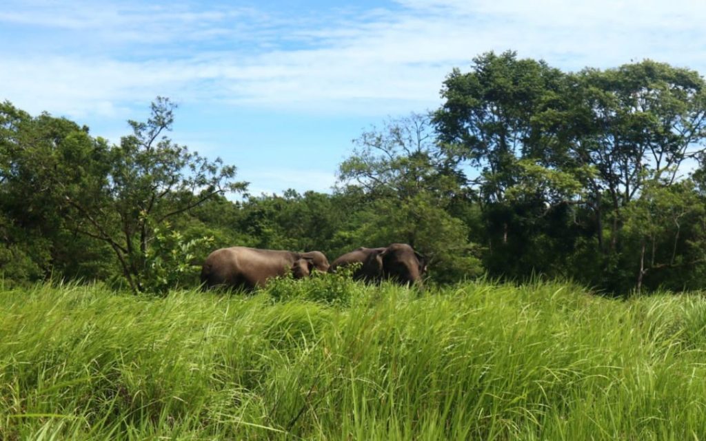 8 Taman Nasional di Sumatra Beserta Letaknya