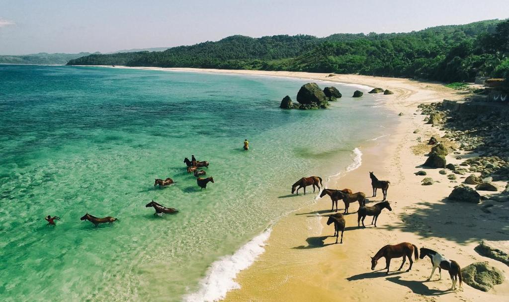 Menikmati Keindahan Alam dari Panorama Pantai Indonesia