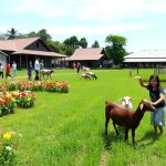 Aktivitas di Agrowisata Kuntum Farmfield Bogor, Interaksi dengan hewan