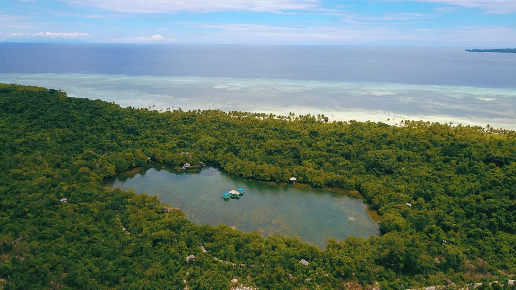 Beberapa Kegiatan Seru yang Bisa Kamu Lakukan di Taman Nasional Wakatobi