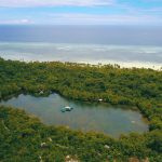 Beberapa Kegiatan Seru yang Bisa Kamu Lakukan di Taman Nasional Wakatobi