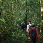 Keindahan Alam Taman Nasional Laiwangi Wanggameti, Surga untuk Pecinta Alam