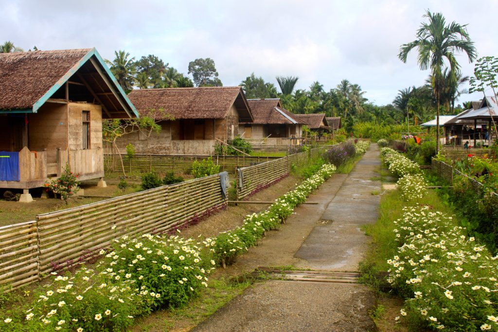 Menggali Pesona Sumatera Barat Melalui Desa Wisata Yang Indah