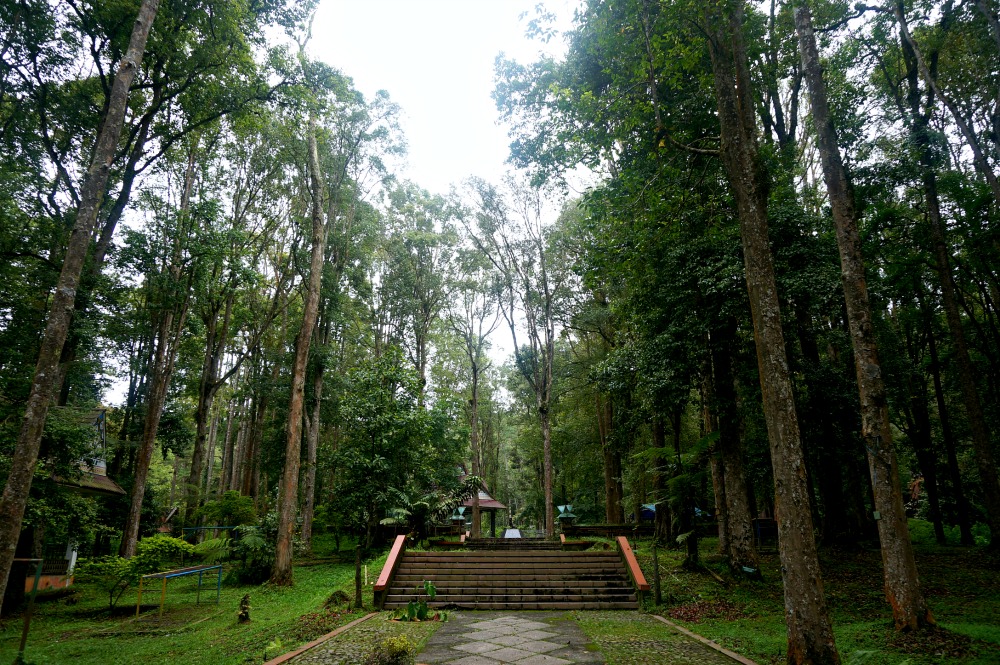 Keindahan Taman Nasional Tahura Tanah Karo, Sumatera Utara