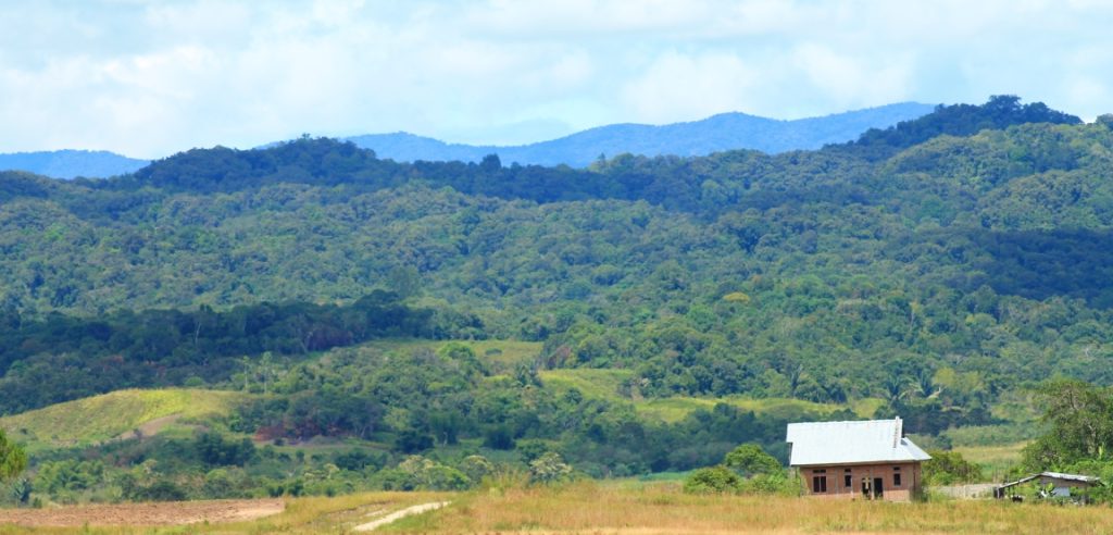 Pulau Sulawesi dengan Taman Nasional yang Menyimpan Banyak Keindahan Alam Memesona