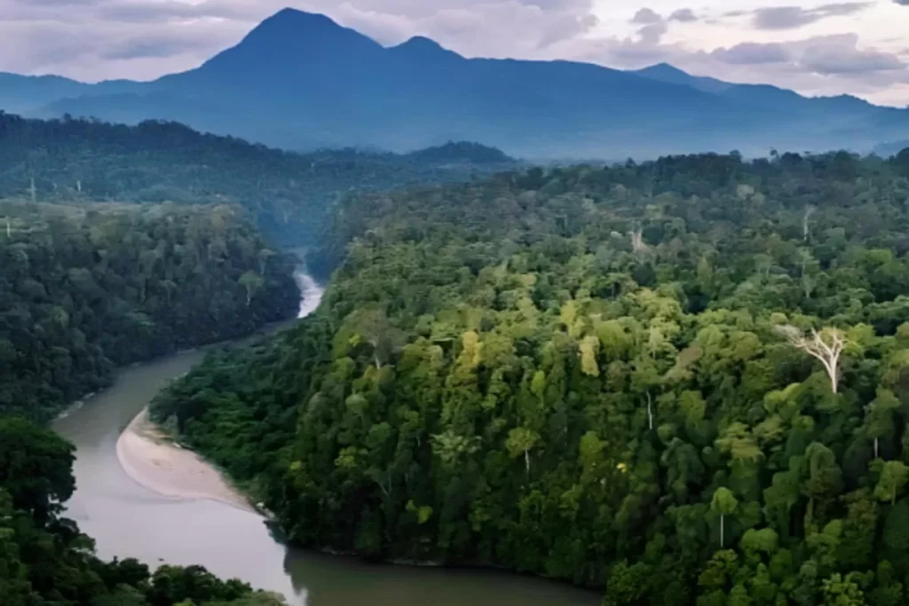 Inilah 6 Taman Nasional Indonesia yang Diakui Sebagai Warisan Dunia UNESCO