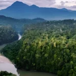 Inilah 6 Taman Nasional Indonesia yang Diakui Sebagai Warisan Dunia UNESCO