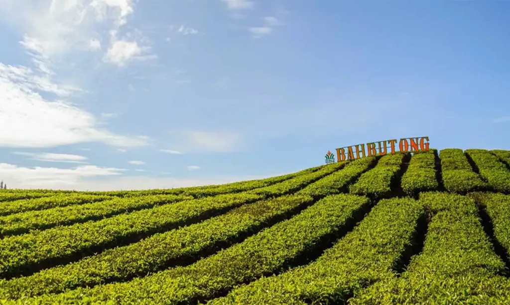 Agrowisata Dapat Membantu Meningkatkan Tumbuh Kembang Anak Anda