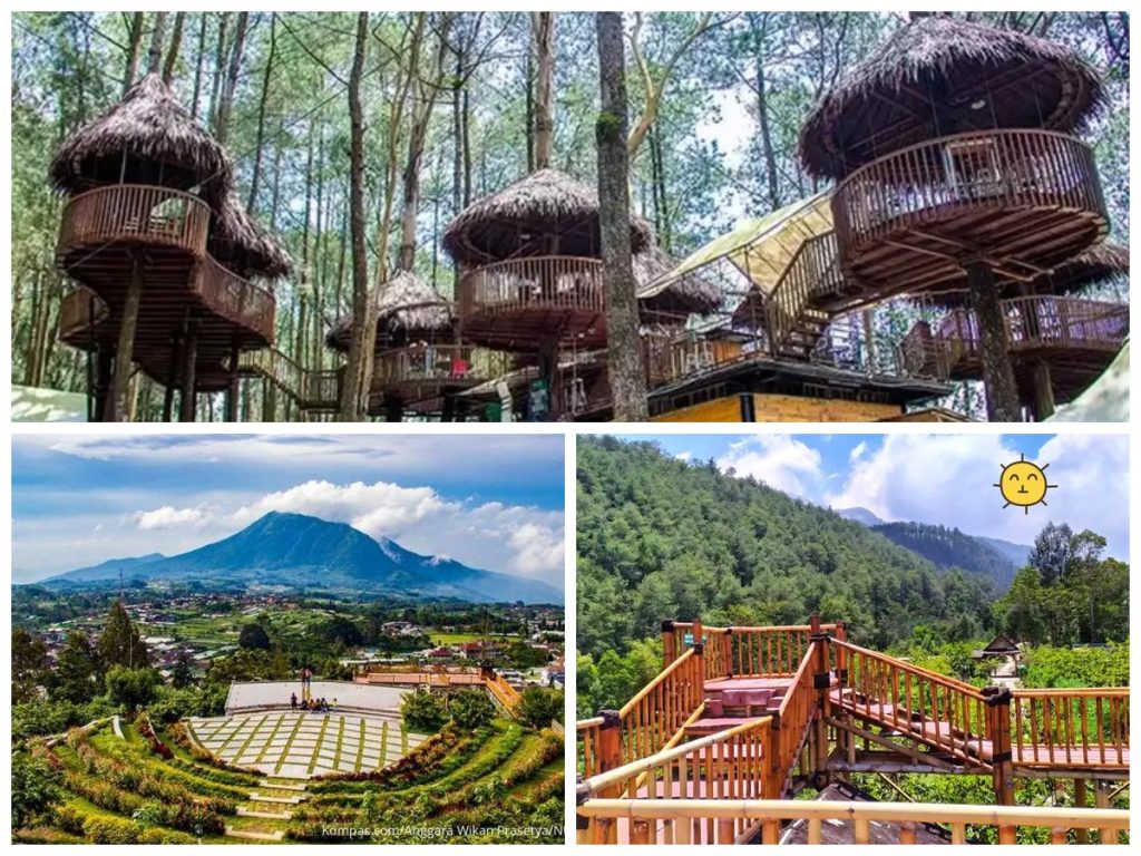 Main ke Agrowisata Kopeng Gunungsari, Mulai dari Camping Hingga Petik Jambu Kristal Segar