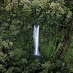 Melirik Keindahan Air Terjun Eksotis di Sukabumi Wajib Kamu Kunjungi