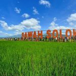 Eksplorasi Keindahan Agrowisata Unggulan Sumatera Barat, Usung Konsep Unik