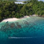 Keindahan Taman Nasional Bunaken, Miliki Daya Tarik Mengesankan