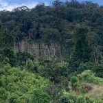 7 Taman Nasional di Indonesia yang Memperlihatkan Keindahan Alam Nusantara